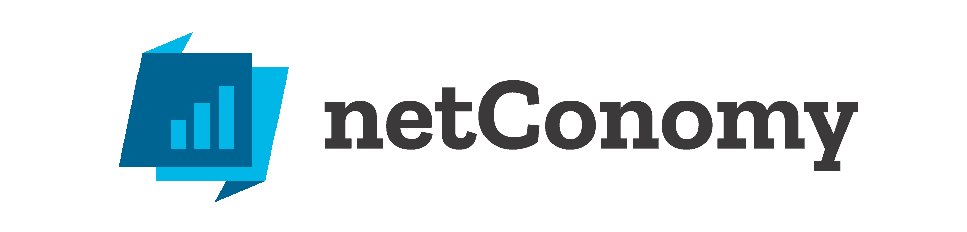 Netconomy - Logo